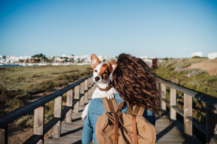 Consider the availability of spaces and activities your dog can enjoy. 