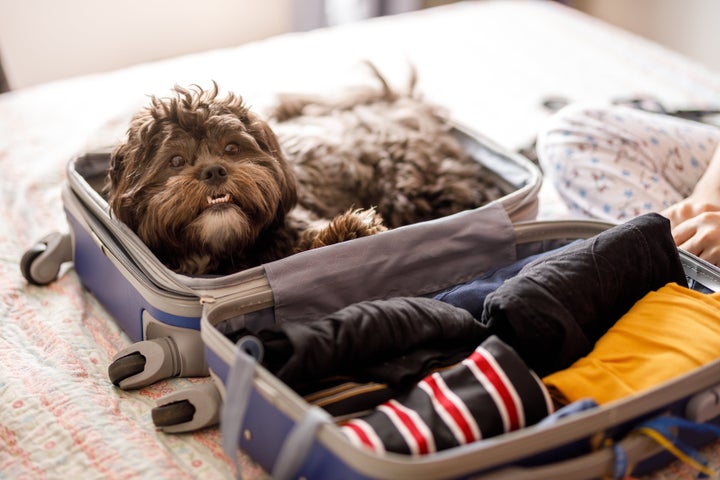 There's a difference between pet-friendly and merely pet-tolerant accommodations. 
